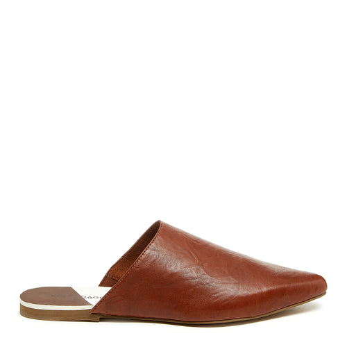 Pointy Cider Leather Mules