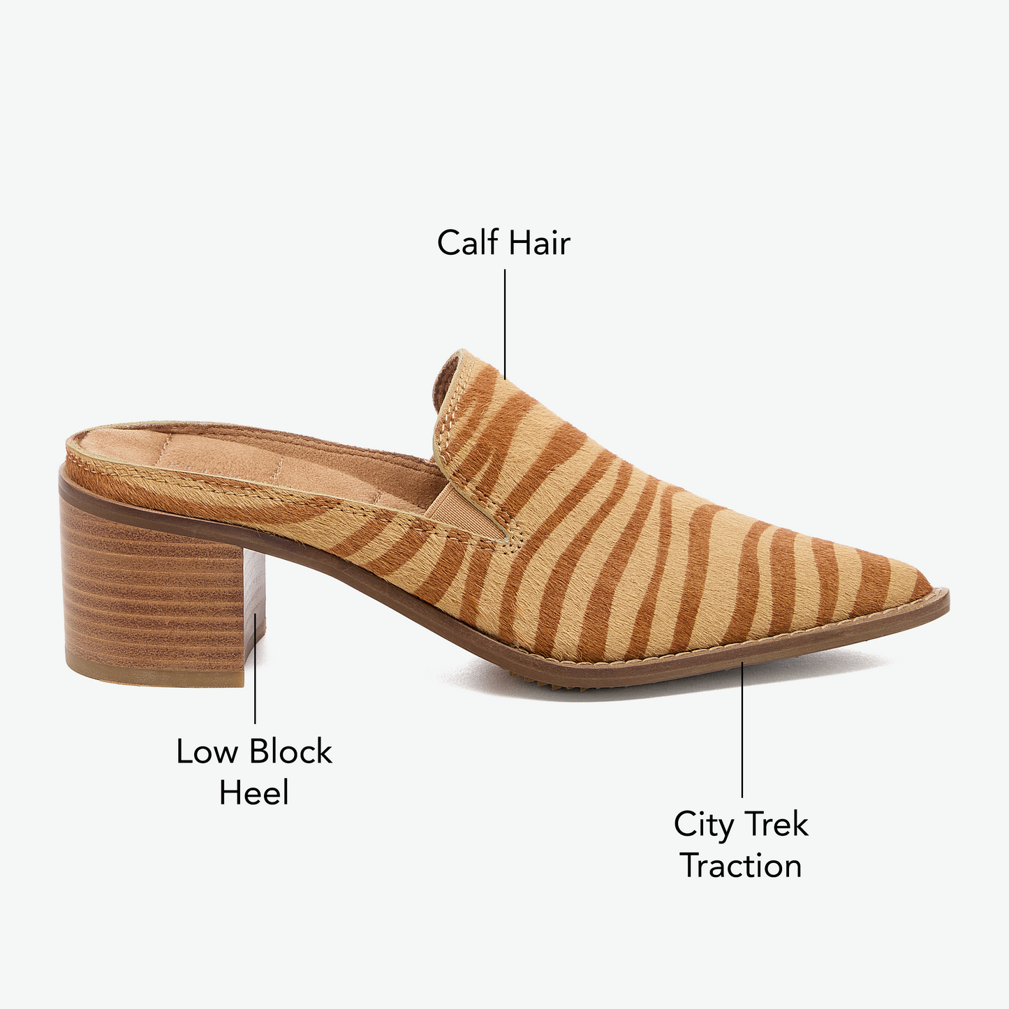 Mason Zebra Pointed Mules