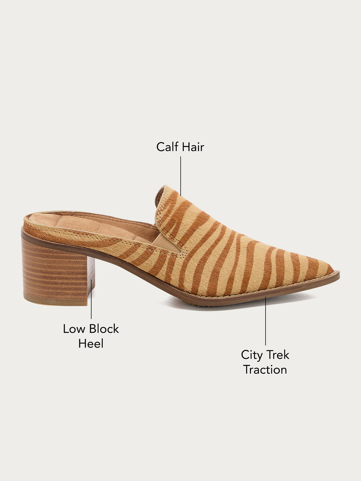 Mason Zebra Pointed Mules